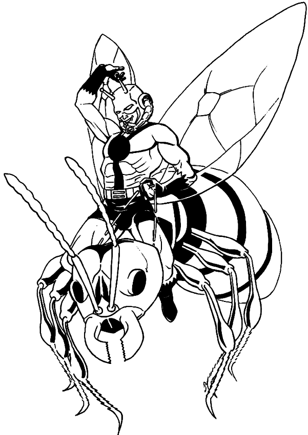 Drawing Ant-Man riding a wasp coloring page