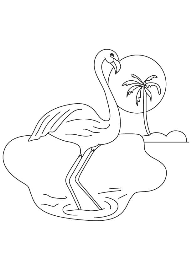 Purple Wing Flamingo Coloring Page Download Free Purple Wing