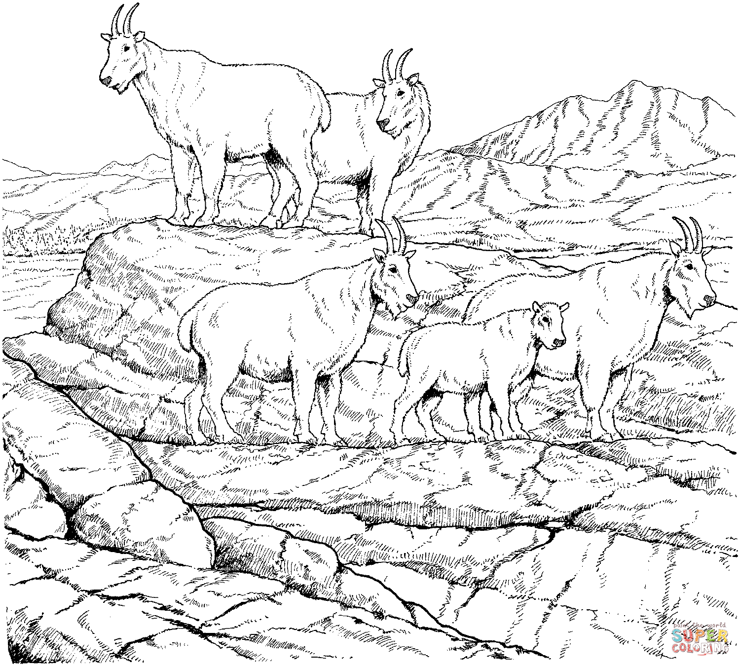 Coloring Pages Goat Coloring Home