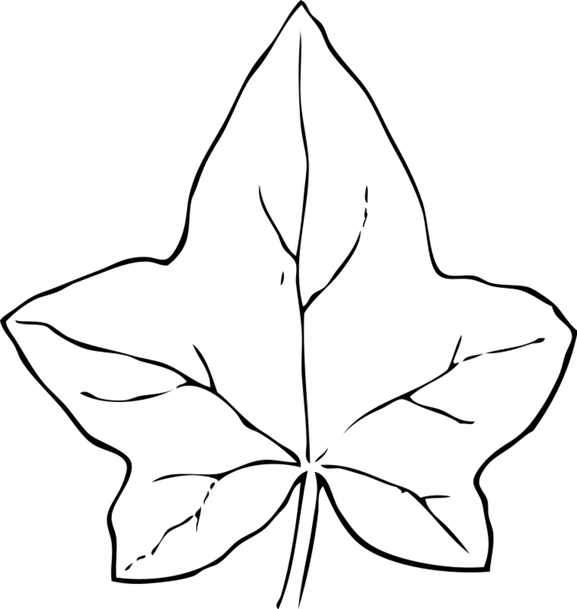 Autumn Coloring Pages 3 | Coloring Pages To Print