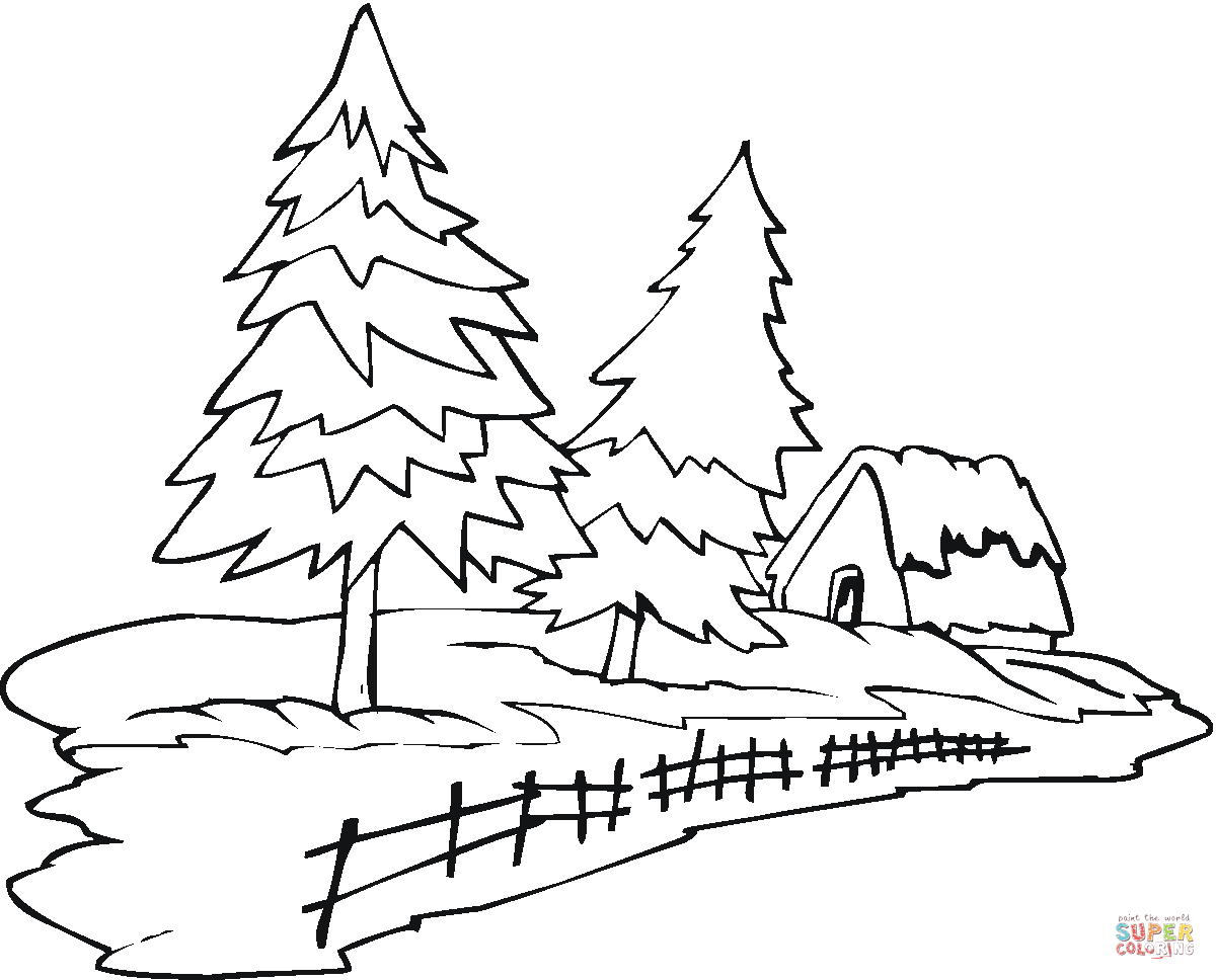 Pine trees coloring pages | Free Coloring Pages