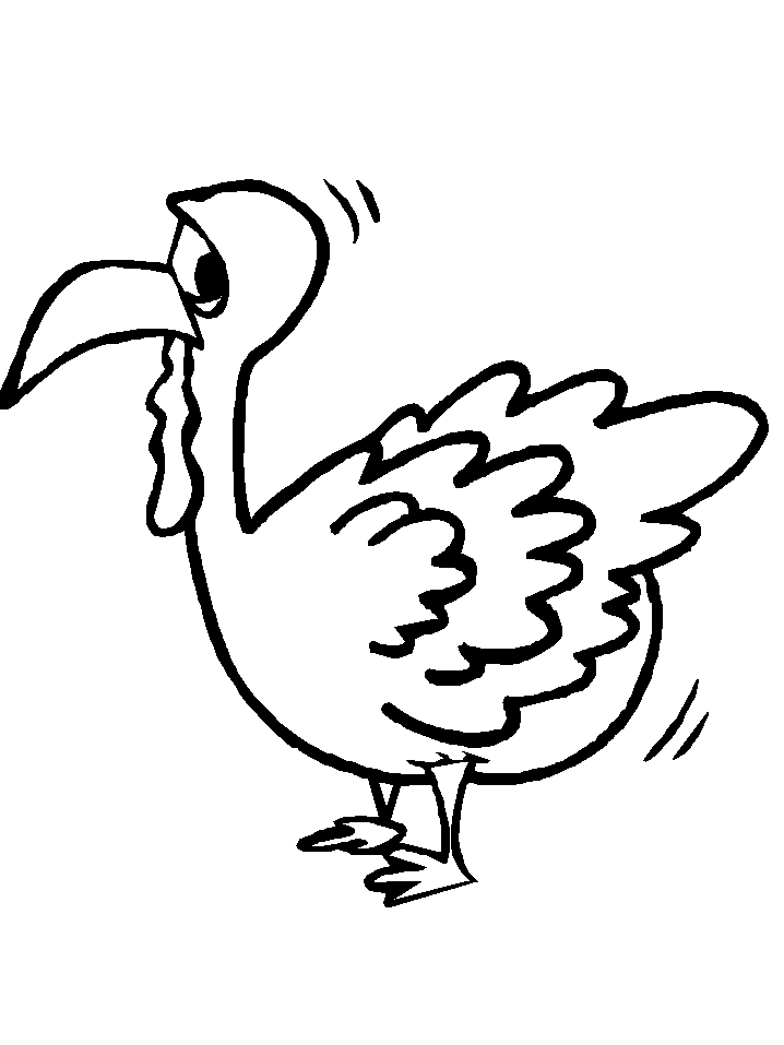 Turkeys 8 Animals Coloring Pages & Coloring Book