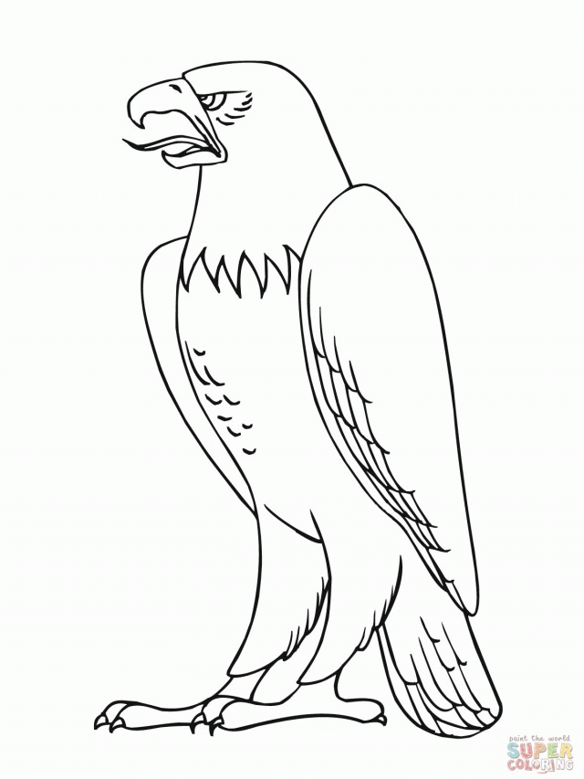 Bald Eagle Coloring pages | Coloring Pages