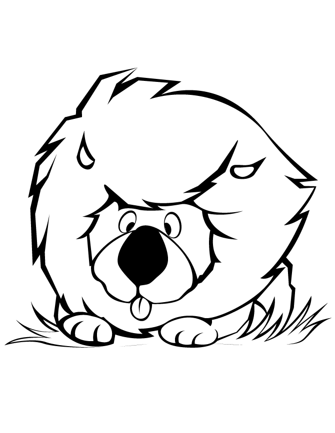 cute baby lion Colouring Pages (page 2)
