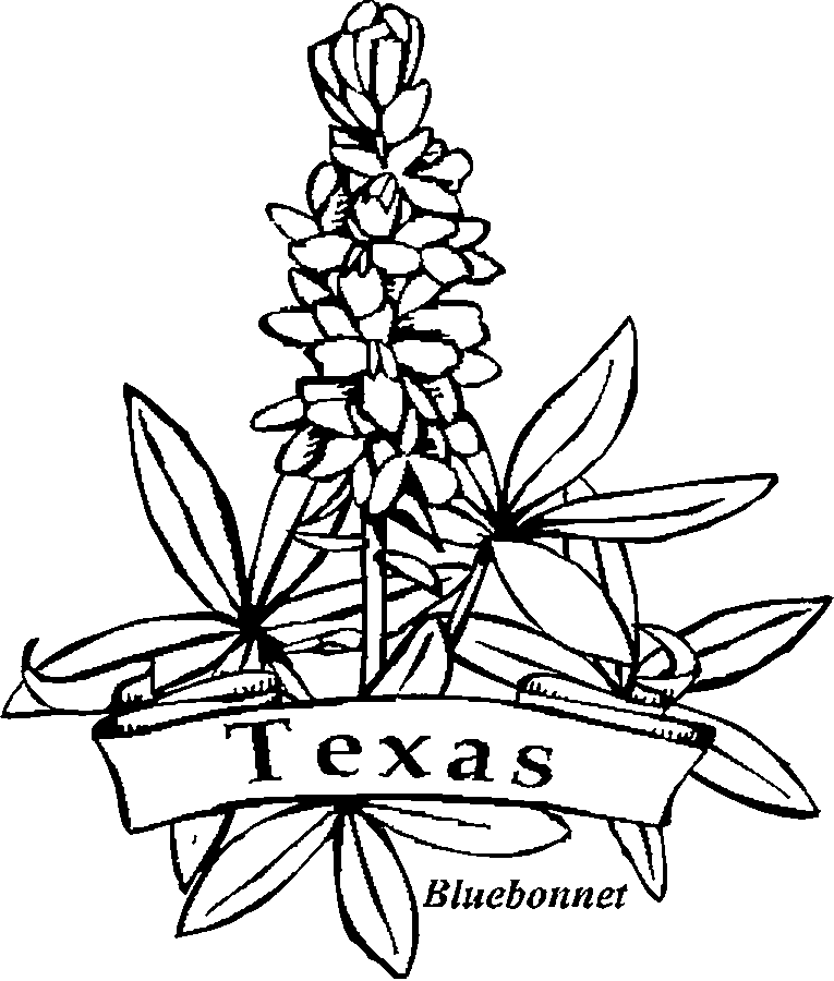 Texas Symbols | texashomeschool