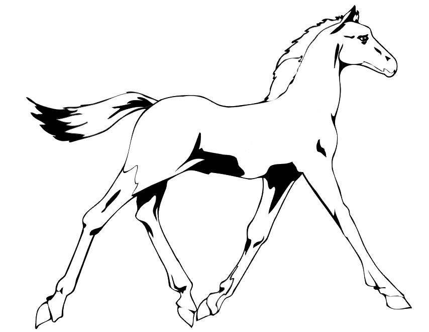Horse Coloring Book Pages 273 | Free Printable Coloring Pages