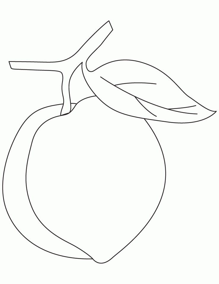 Peach fruit coloring pages | Download Free Peach fruit coloring 