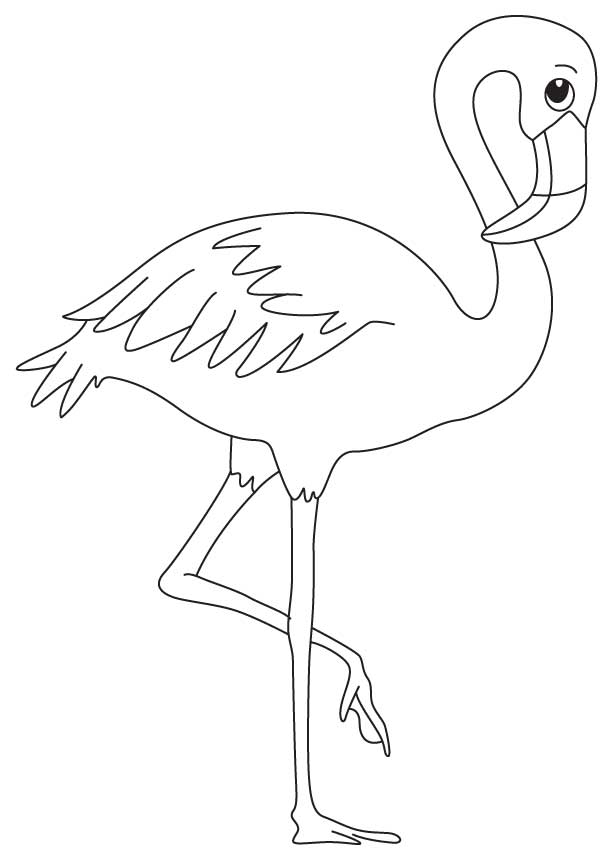 A wading bird coloring page | Download Free A wading bird coloring 
