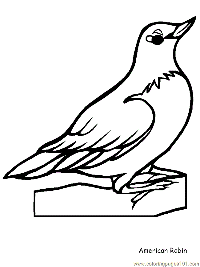 Coloring Pages Bird Coloring 61 (Animals > Birds) - free printable 