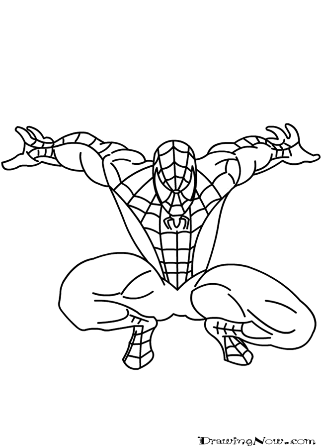 how to draw spiderman | Lee's Room