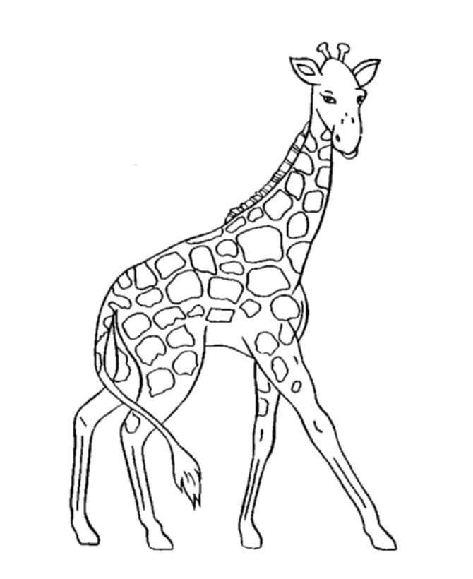 Giraffe Coloring Pages 2 | Coloring Town