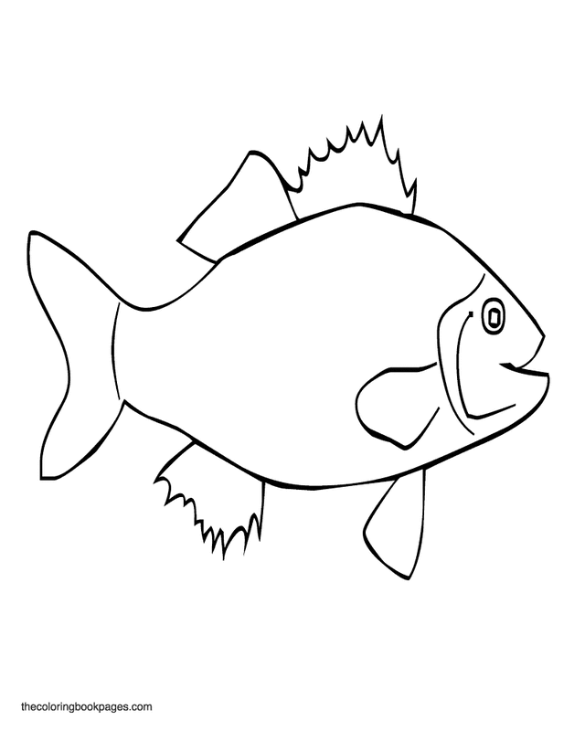 Fish Coloring Pages 98 272612 High Definition Wallpapers| wallalay.