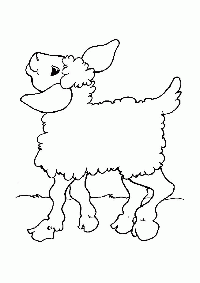 Lamb of god Colouring Pages