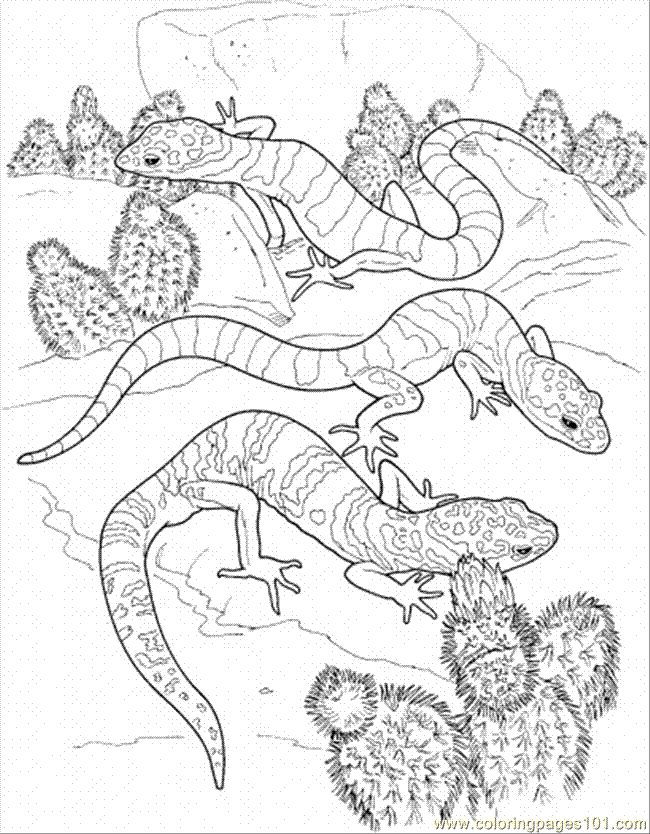 Coloring Pages Cactus And Lizard (Natural World > Flowers) - free 