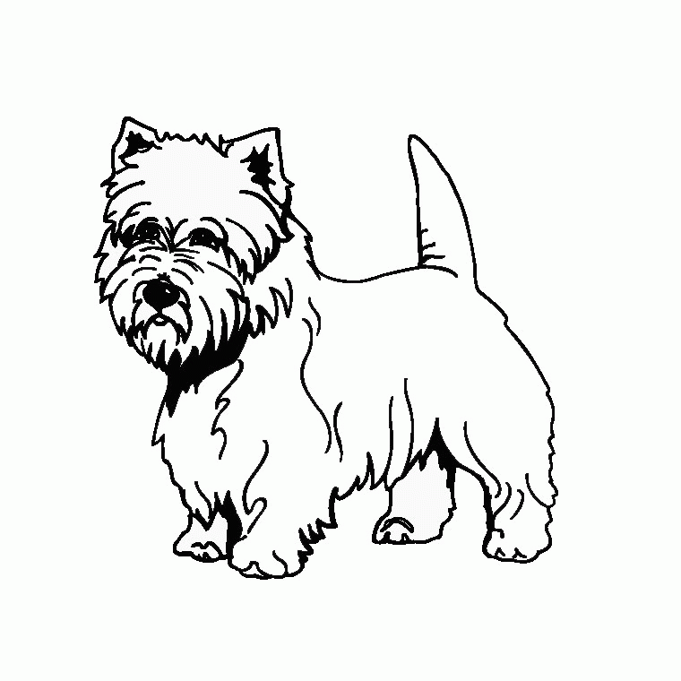 westie dog coloring pages | Coloring Pages For Kids
