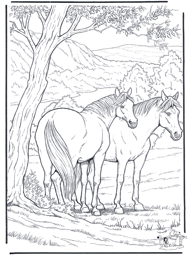 horse coloring page 1099 hd wallpapers horse coloring pages 