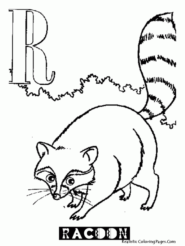 Sweet Animal Alphabet Racoon | Laptopezine.