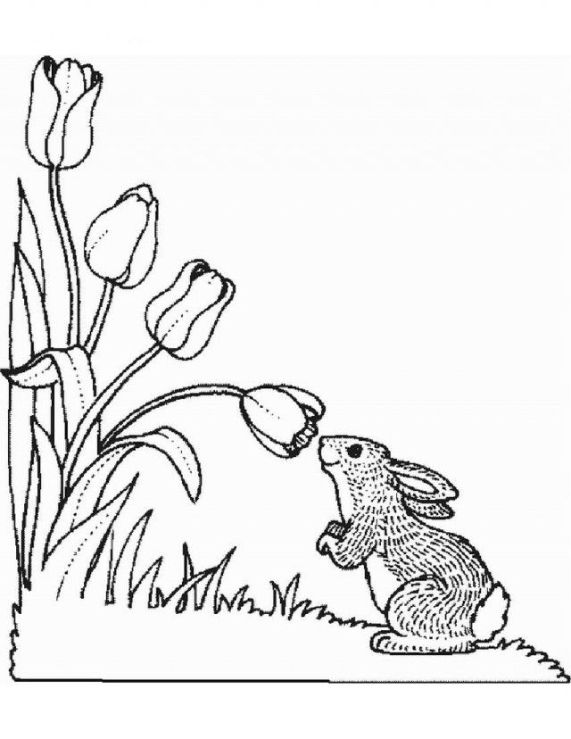 Cute Animals Coloring Pages Coloring Part 28 85553 Forest Animals 