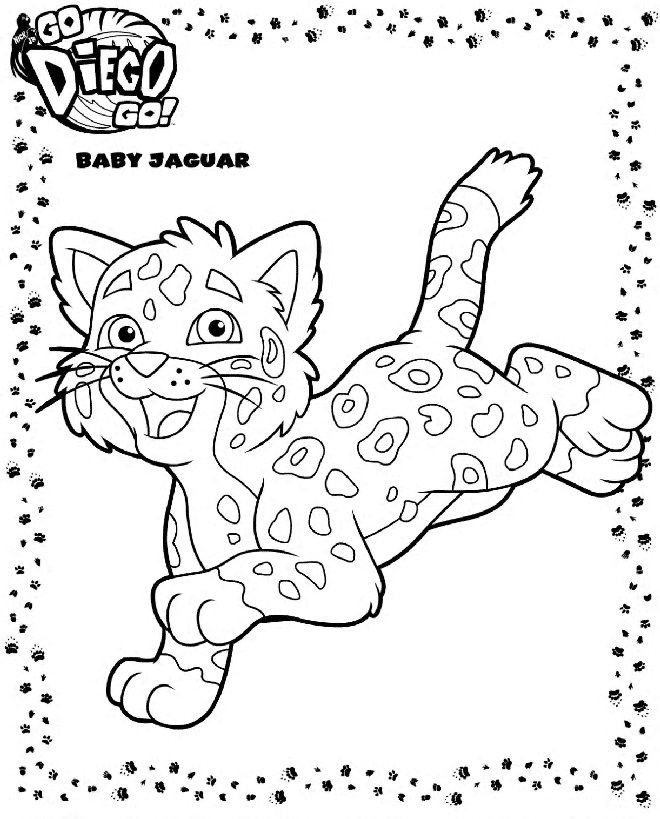 Jaguar Animal Pictures To Color
