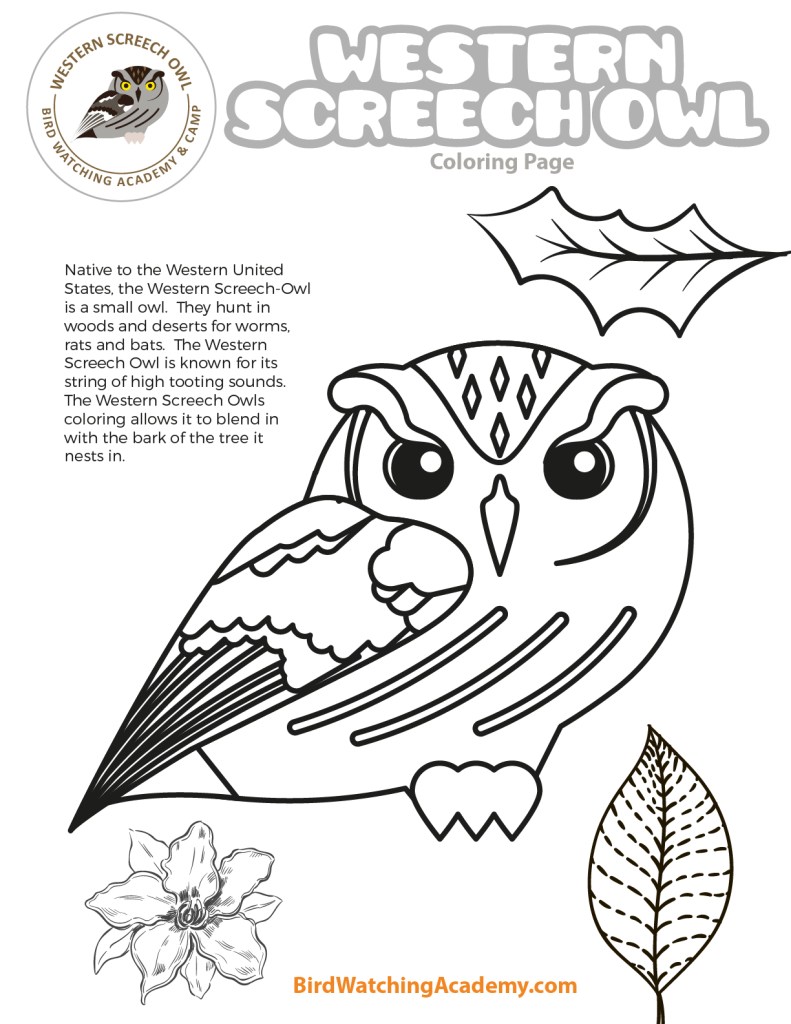 Bird Coloring Pages - Bird Watching Academy