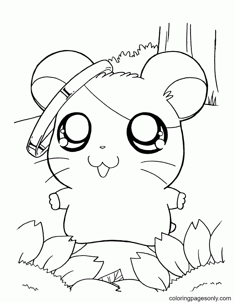 Cute Hamster Free Coloring Pages - Hamster Coloring Pages - Coloring Pages  For Kids And Adults