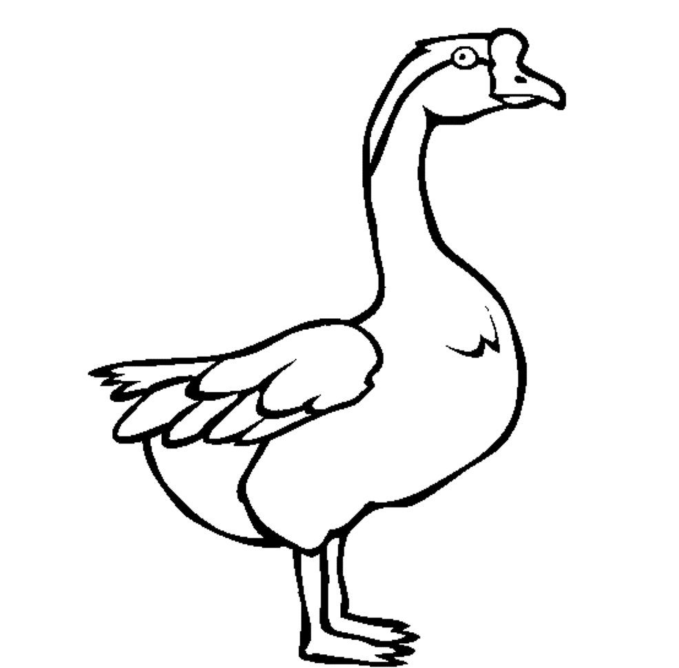 Baby Goose Coloring Page - Coloring Home