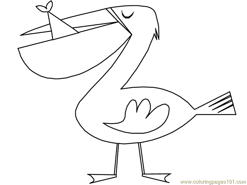 Birds pelican Coloring Page for Kids - Free Pelicans Printable Coloring  Pages Online for Kids - ColoringPages101.com | Coloring Pages for Kids