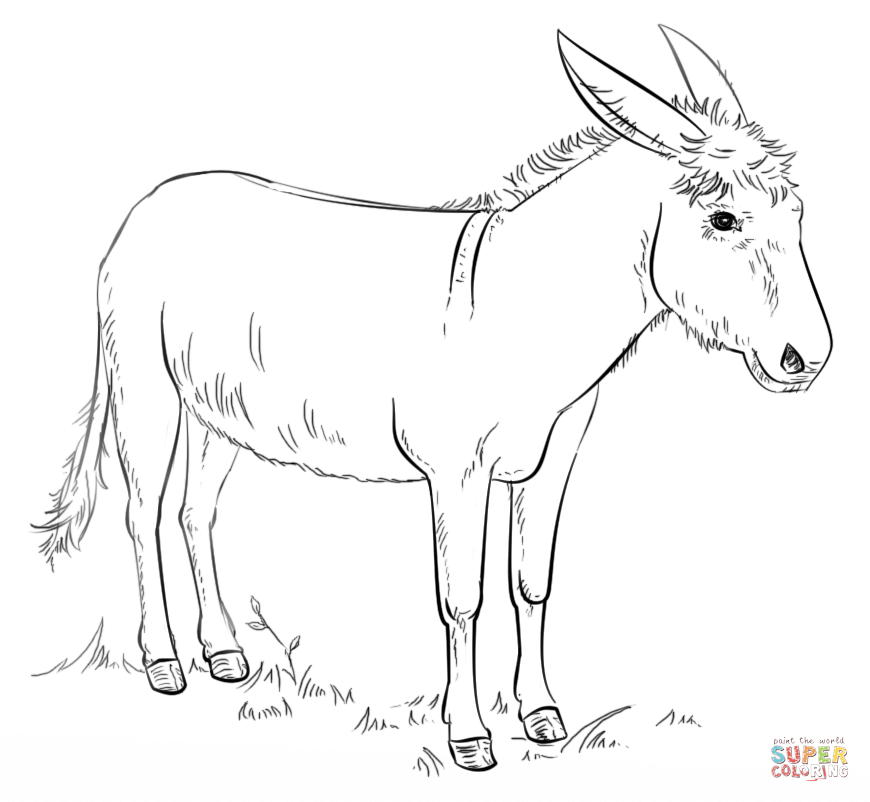 Donkeys coloring pages | Free Coloring Pages