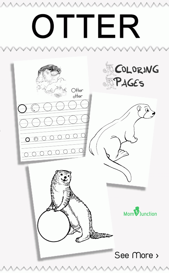 10 Best Otter Coloring Pages For Toddlers