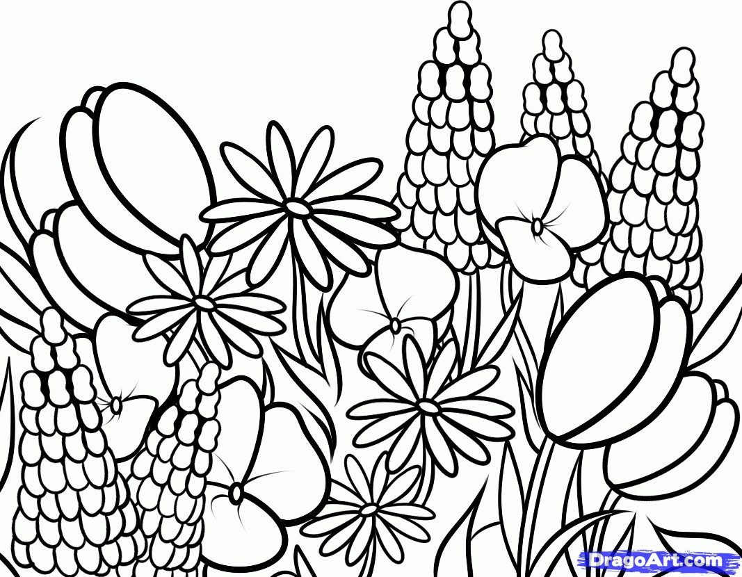 Wild Flowers Coloring Pages   Coloring Home