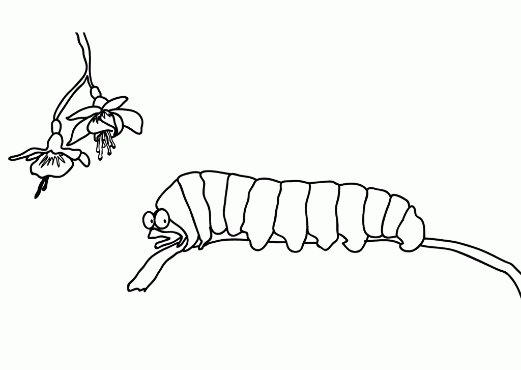 Caterpillar On Twig Coloring Pages - Caterpillar Coloring Pages 