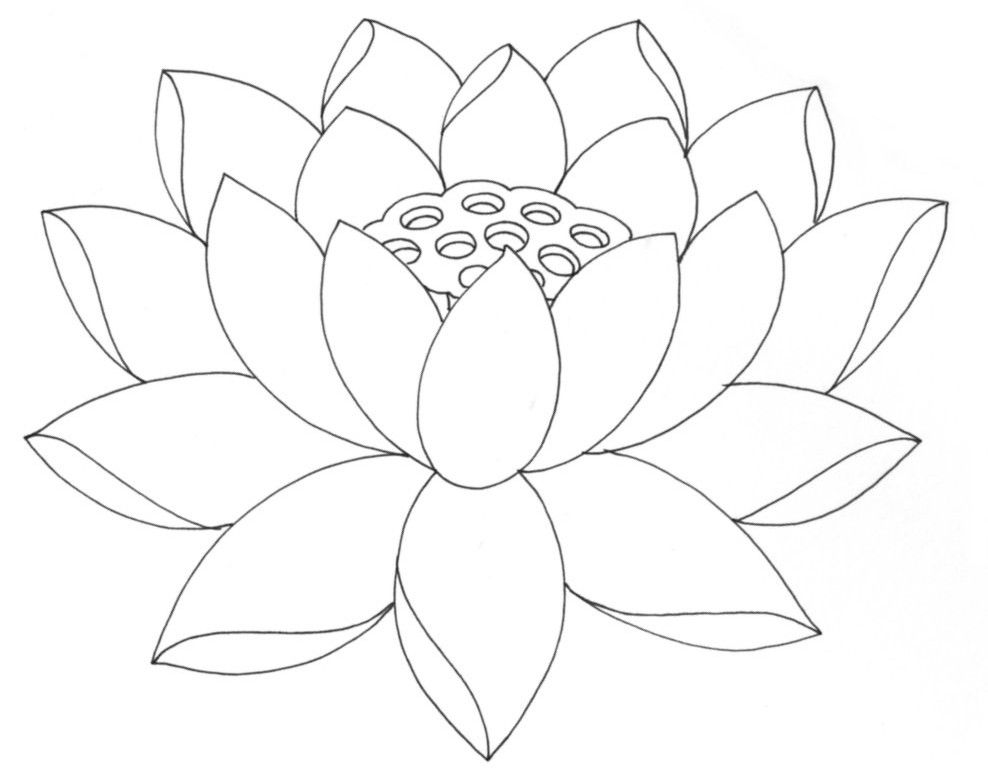 Simple Lotus Flower Outline Wallpaper « Free latest HD Hairstyle 