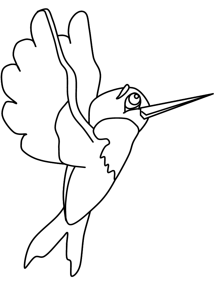 Download or print this amazing coloring page: Birds Hummingbird2 Animals Co...