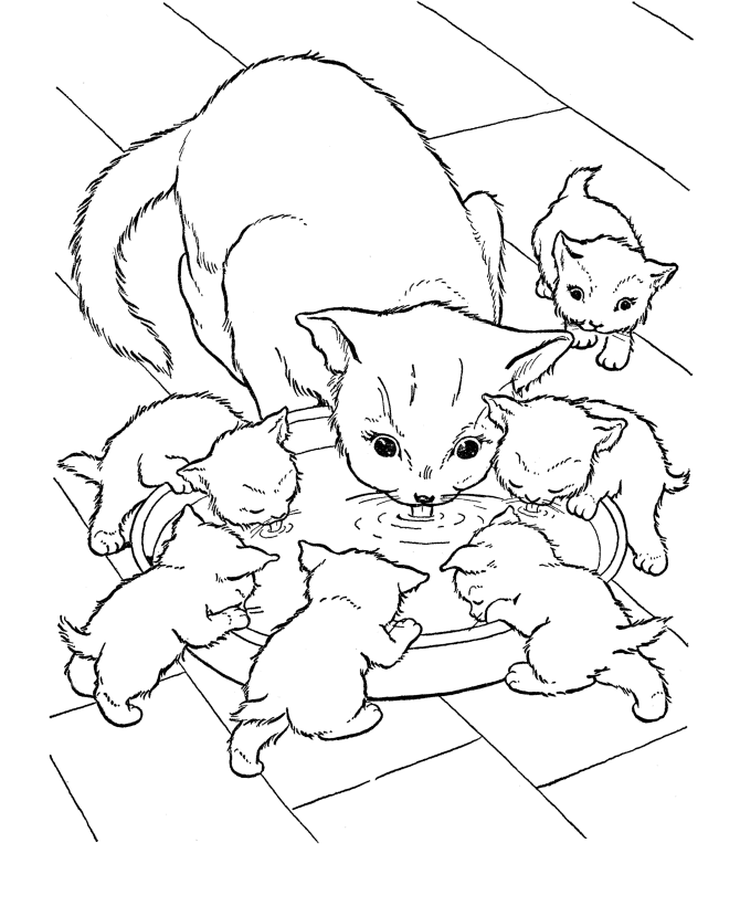 Kitten Coloring Pages for Kids- Free Coloring Pages