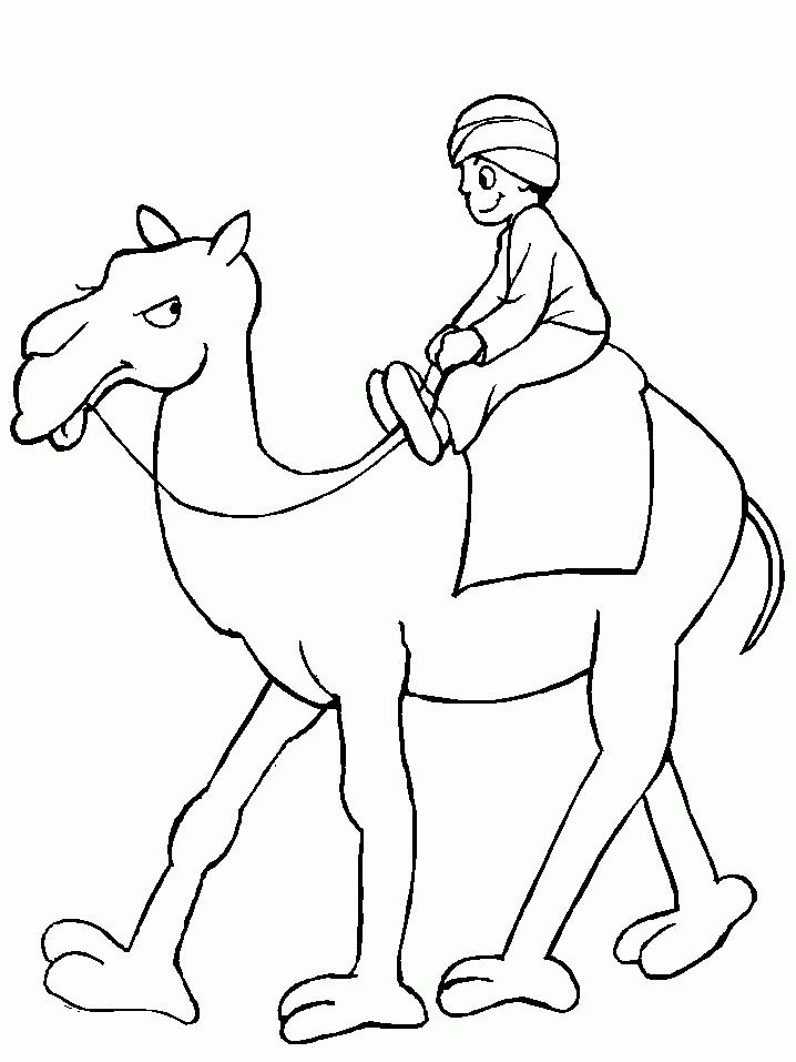 Camels Coloring Pages 760 | Free Printable Coloring Pages