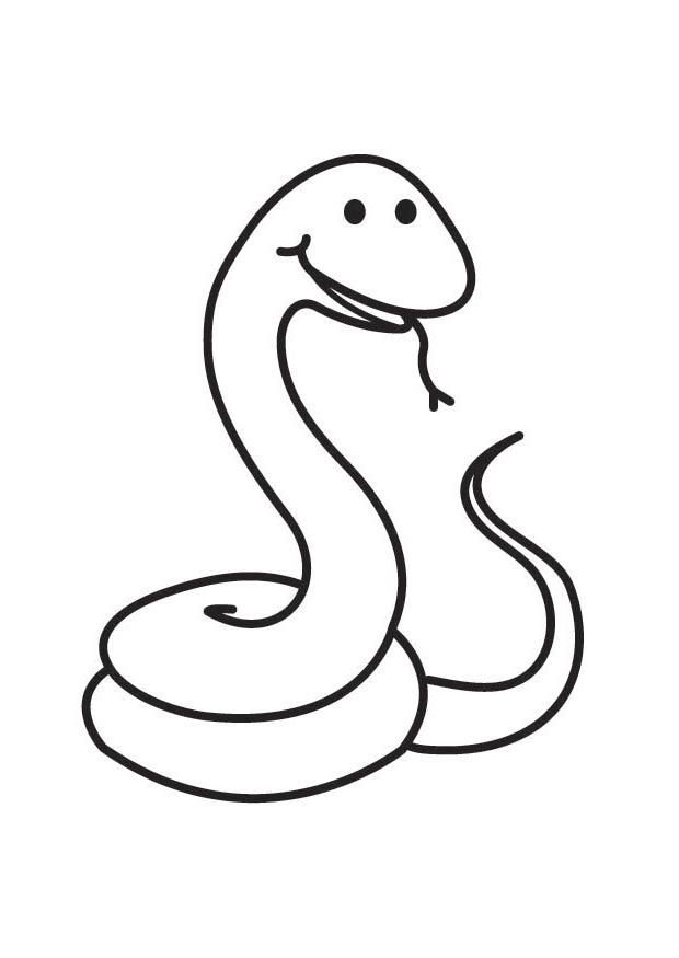 Coloring page Snake - img 17907.