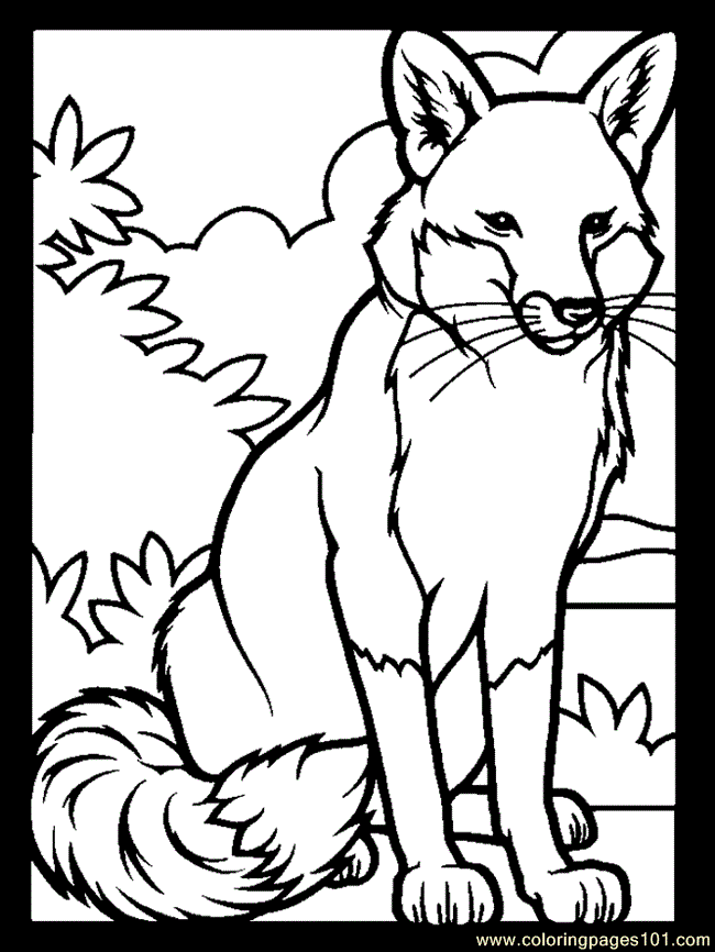 Coloring Pages Fox (Mammals > Fox) - free printable coloring page 