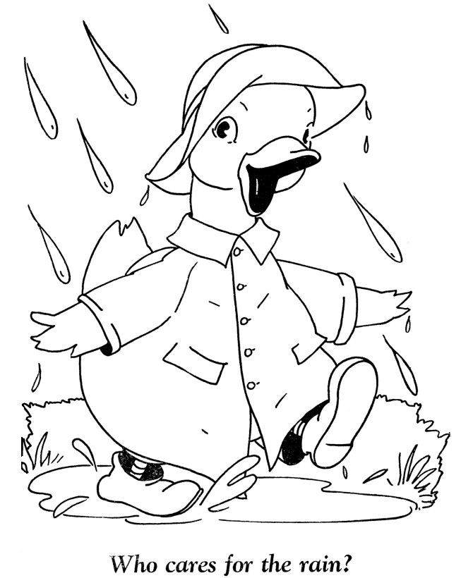 Funny Ducks Coloring Pages Picture