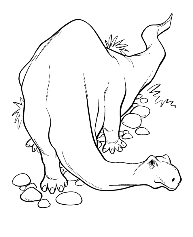 Dinosaur Coloring Pages | Printable Apatosaurus / Brontosaurus 