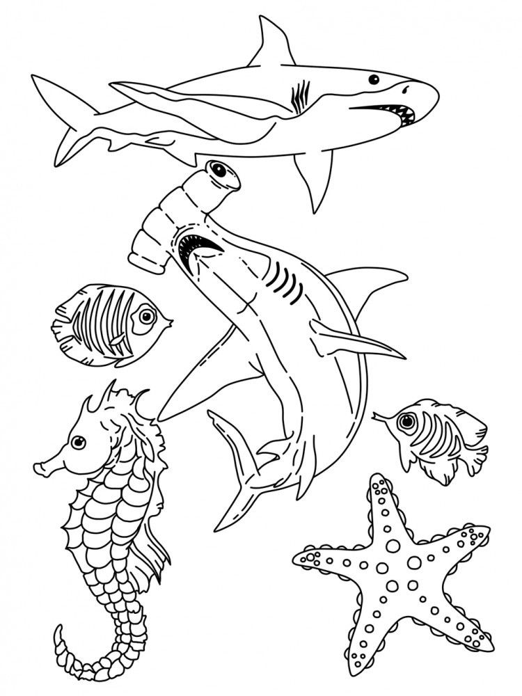 sea life coloring pages for kids coloring home
