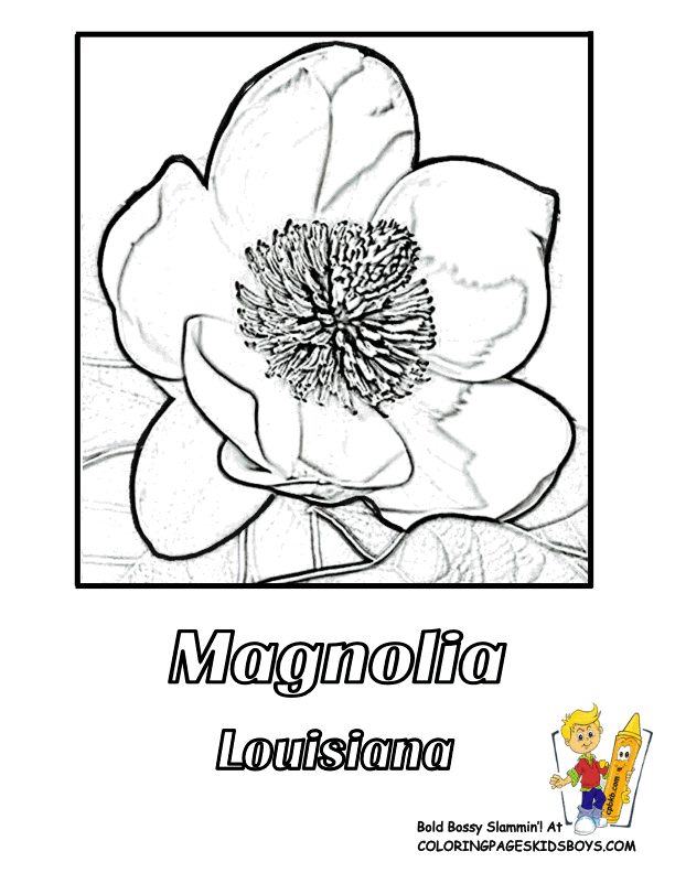 Flower Coloring Pictures | States Hawaii-Louisiana | Free | Flower 