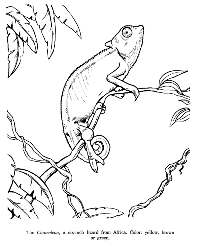 Camiloin Coloring Pages