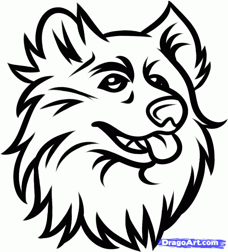How to Draw the Connecticut Huskies, Jonathan the Husky, Step by 