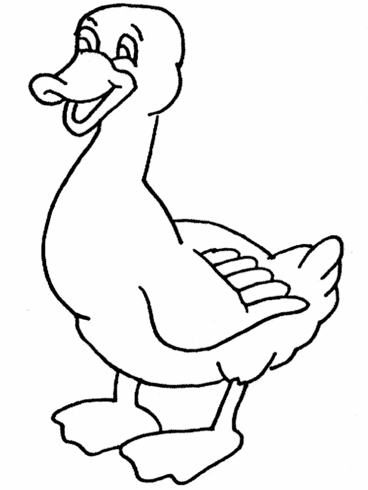Print And Coloring Page Duck For Kids | Coloring Pages