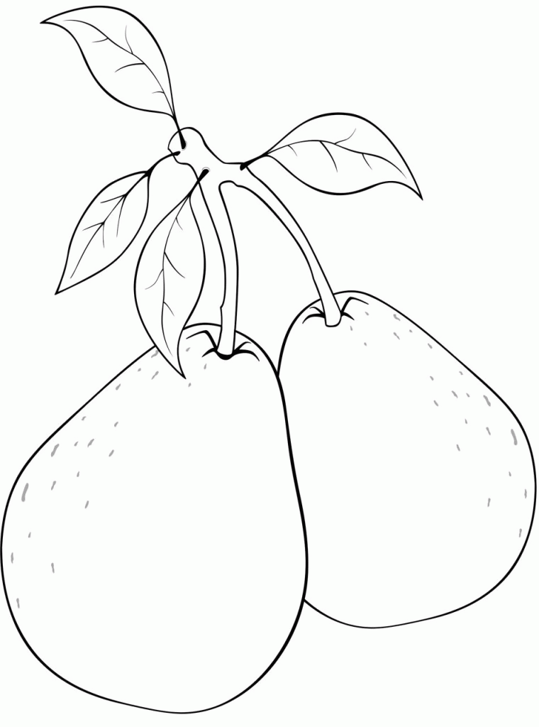 Pictures Of Pears - Coloring Home