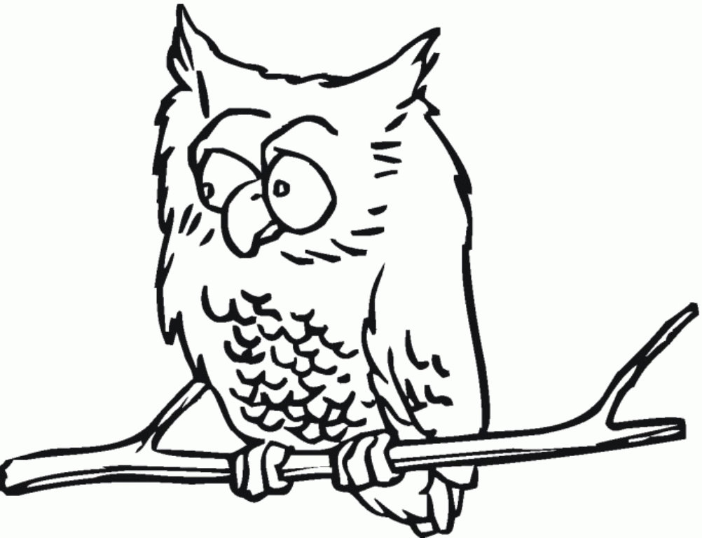 Hard Owl Coloring Pages Images & Pictures - Becuo