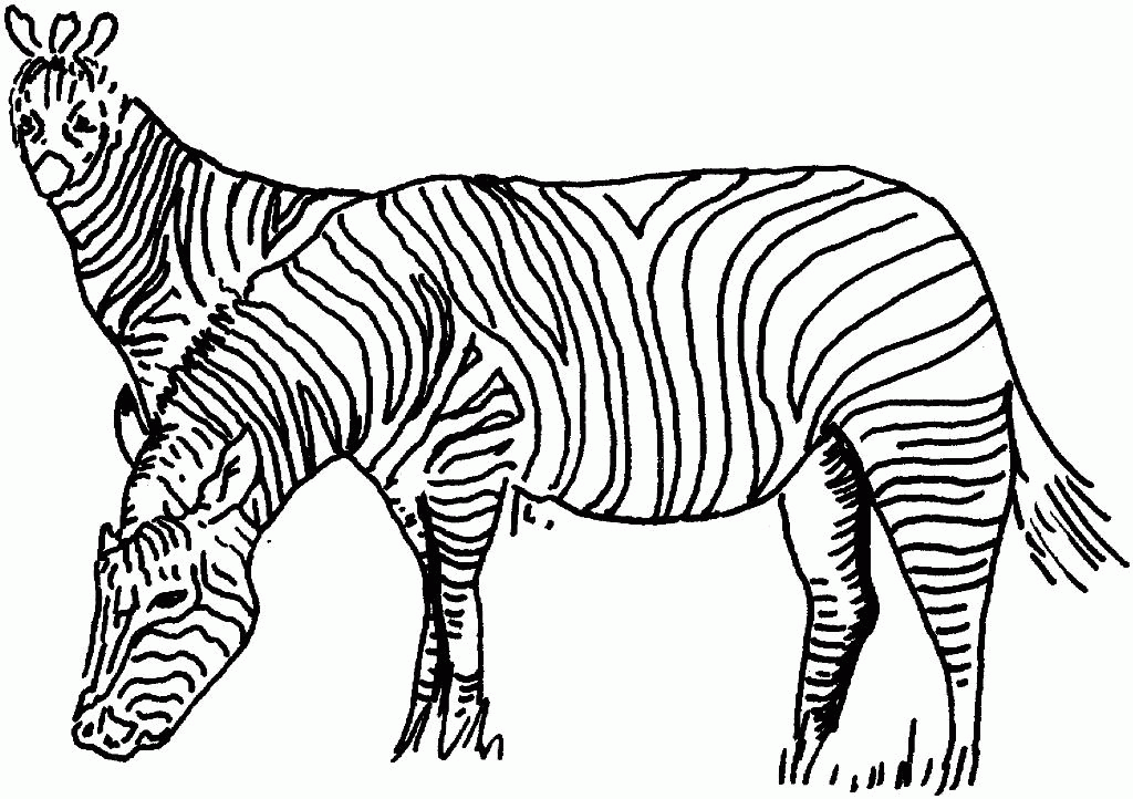 Printable Zebra Coloring Page For Kids. ThoughtfulCardSender - Coloring