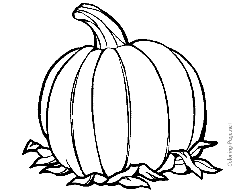 Thanksgiving Coloring Page - Pumpkin 3 | Stencils/Clip Art/Templates …