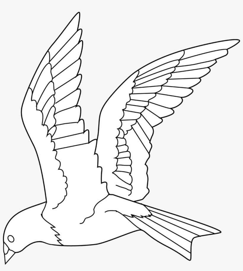 Flying Bird Coloring Page Free Clip Art White - Flying Bird Colouring Pages  PNG Image | Transparent PNG Free Download on SeekPNG
