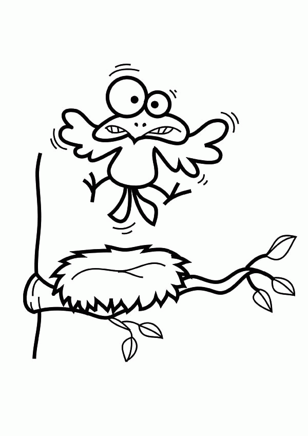 Bird Silly Face Over His Bird Nest Coloring Pages | Best Place to ...